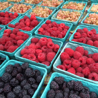 Photo 2 of Fort Washington Greenmarket