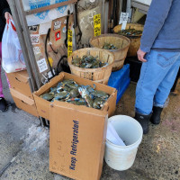 Photo 2 of Win Sea Food Market