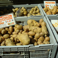 Photo 3 of Columbia University Greenmarket