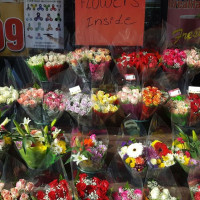 Photo 3 of Tropical Fruit Market