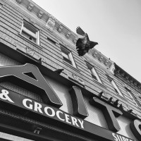 Photo 1 of Zaitoon Halal Meat & Grocery