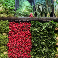 Photo 3 of Carnival Fresh Market
