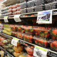Photo 1 of Ideal Food Basket