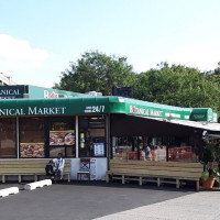 Photo 3 of Botanical Market
