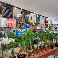 Photo 2 of Botanical Market