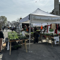 Photo 1 of Park Slope's Down to Earth Farmers Market