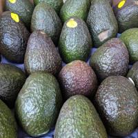 Photo 3 of AAA Avocados