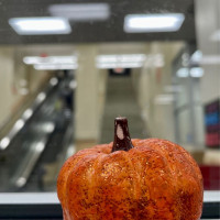 Photo 1 of Trader Joe's