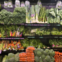 Photo 3 of Food Garden Market