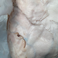 Photo 2 of Tony's Meat Market