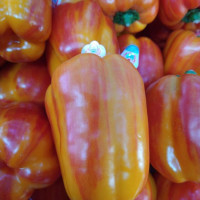 Photo 3 of Gastronom International Market