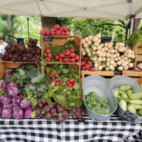 Photo 3 of Carroll Gardens Greenmarket