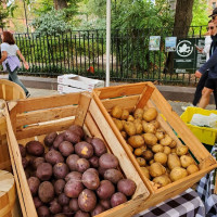 Photo 1 of Carroll Gardens Greenmarket