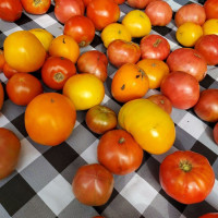 Photo 2 of Carroll Gardens Greenmarket