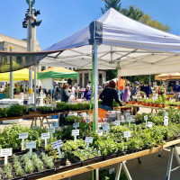 Photo 2 of Grand Army Plaza Greenmarket