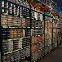 Photo 3 of Key Food