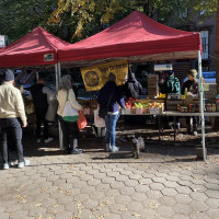 Photo 2 of Fort Greene Park Greenmarket