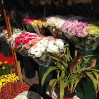 Photo 3 of Glober Market
