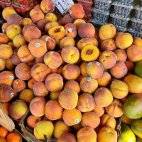 Photo 3 of King Fruit