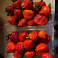 Photo 1 of New Giant Farms