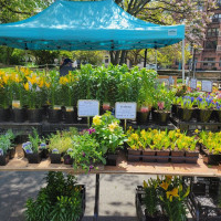Photo 1 of Bartel Pritchard Square Greenmarket