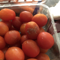 Photo 1 of Key Food