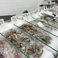 Photo 3 of Rego Seafood Supermarket