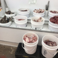 Photo 1 of Farm Country Outlet