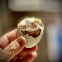 Photo 2 of Phil-Am Foods