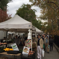 Photo 1 of Abingdon Square Greenmarket