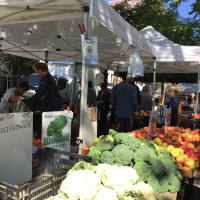 Photo 3 of Abingdon Square Greenmarket